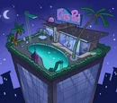 Chip's Pad