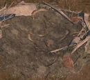 Node: Prairie Chicken Nest