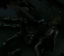 Skitter (Live and Learn)
