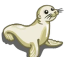 Arctic Seal