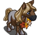 Harvest Pony Foal