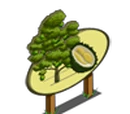 Durian Tree