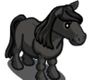 Animal Mastery Event