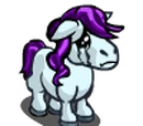 Weeping Mini Foal