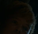 Willem Lannister