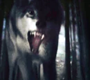Garden of Bones recap