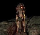 Nemacyst