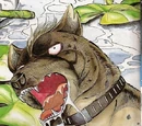 Kurojaki