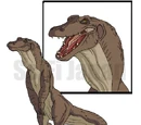 Komodithrax