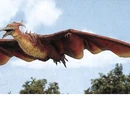 Rodan