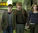 Trio