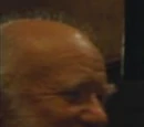 Unidentified Council of Magical Law member