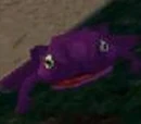Giant Purple Toad