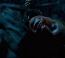 Attack on Arthur Weasley
