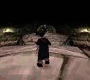 Slytherin Duelling Dungeon