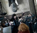 Duel between Molly Weasley and Bellatrix Lestrange