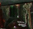 Doxy egg