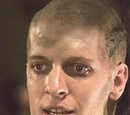 The Kurgan