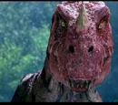 Ceratosaurus
