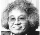 Shotaro Ishinomori