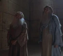 The Witnesses