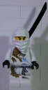 2260 Ninja.JPG