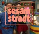 Television programs of the Netherlands