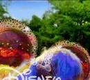 Disney Channel (International)/Bounce and Ribbon Idents and Bumpers