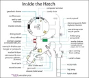 Hatch1.jpg