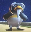 Pinguru.JPG