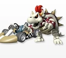 Dry Bowser