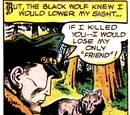 Black Wolf (New Earth)