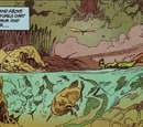 Slaughter Swamp/Images