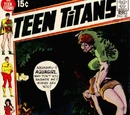 Teen Titans Vol 1 30