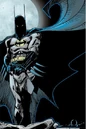 Batman 0388.jpg