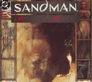 Sandman Vol 2 3