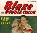Blaze the Wonder Collie Vol 1