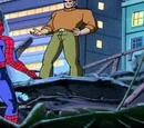 Spider-Man: The Animated Series Season 1 9
