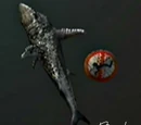 Sharq Attaq