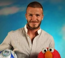 David Beckham
