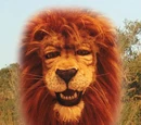 Ponce D. Lion