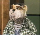 Bruno (Dog City)