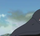 Cuervo de Itachi
