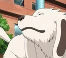 Akamaru