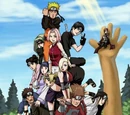Naruto Wiki:Proyectos