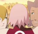 Camino de Sakura