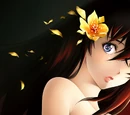 Akiki Setsumi