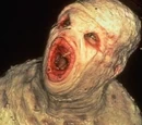 Flukeman