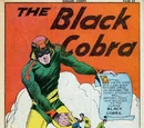 Black Cobra (Chesler)