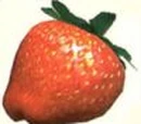 Combustion Berry